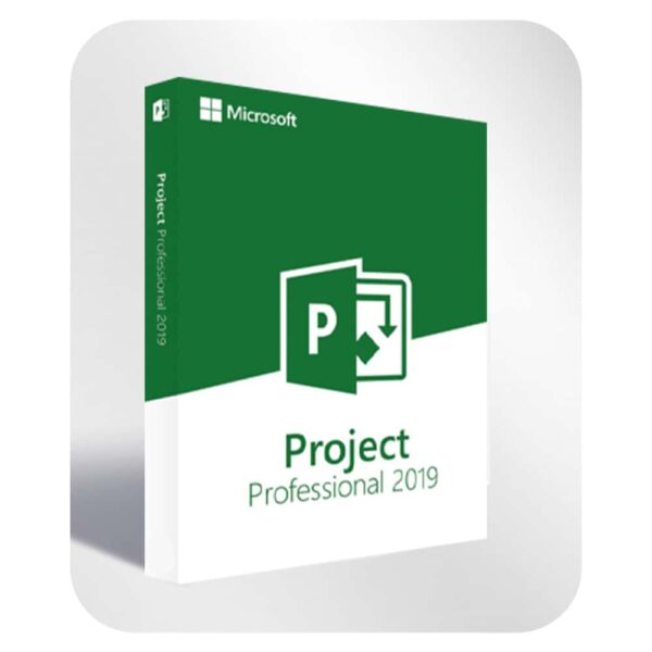 Microsoft Project 2019 Professional