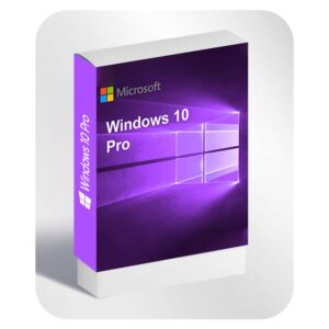 Windows 10 Professional