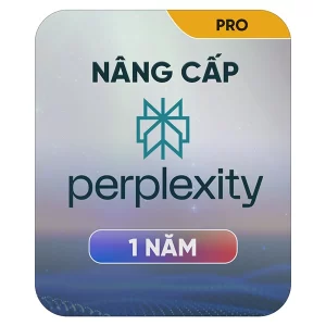 Nâng cấp Perplexity pro 1 năm chính chủ